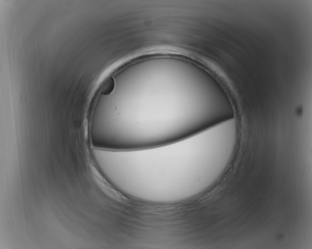 X0000115661372200911120933