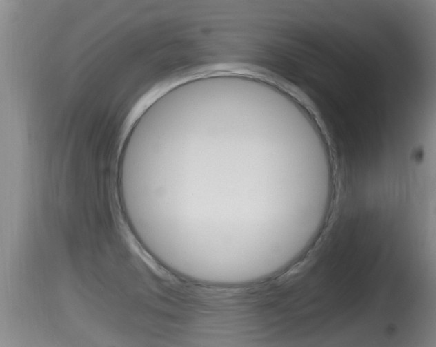 X0000115661373200911120933