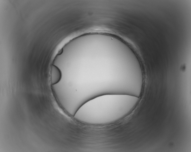 X0000115661374200911120933