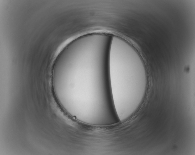 X0000115661375200911120933