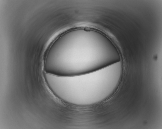 X0000115661376200911120933