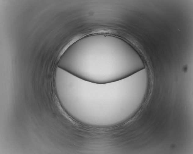 X0000115661377200911120933