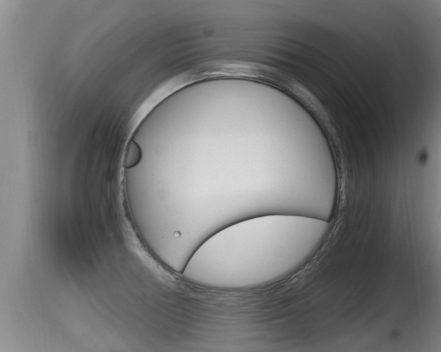 X0000115661378200911120933