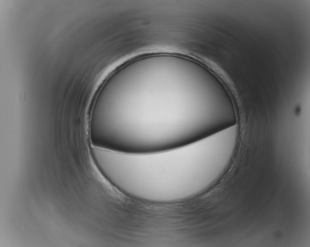X0000115661380200911120933