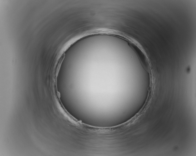 X0000115661381200911120933