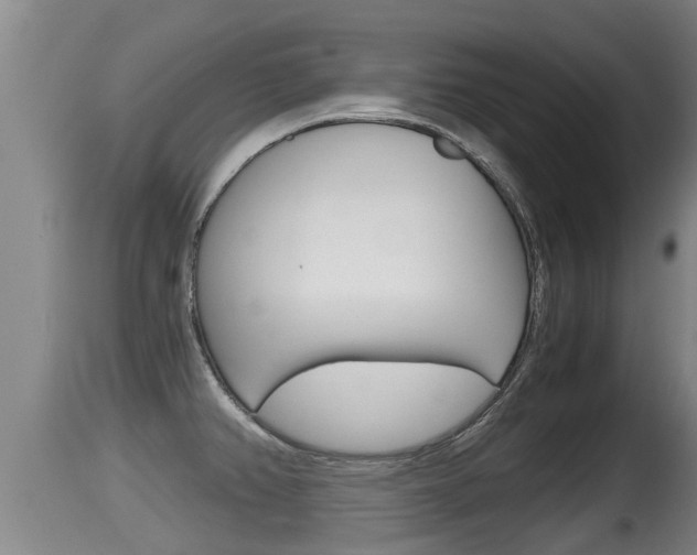 X0000115661382200911120933