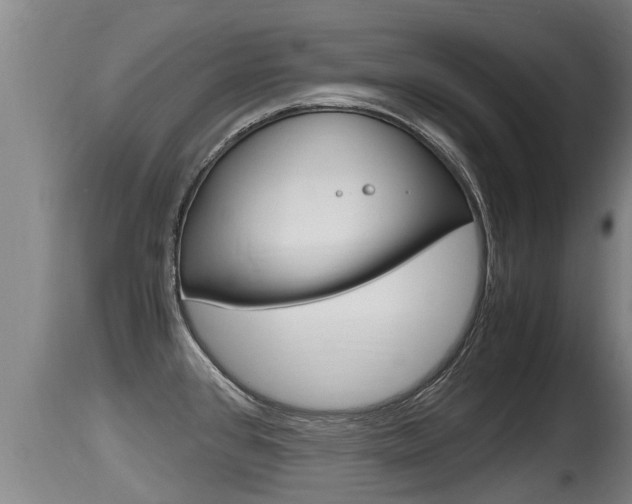 X0000115661384200911120933