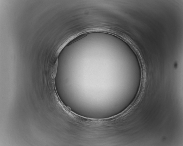 X0000115661385200911120933