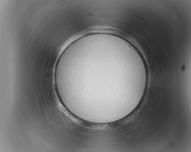 X0000115661386200911120933