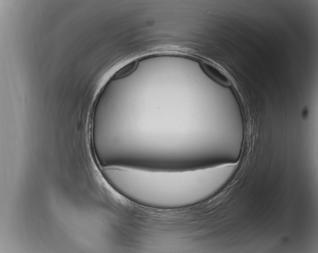 X0000115661387200911120933