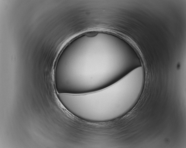 X0000115661388200911120933