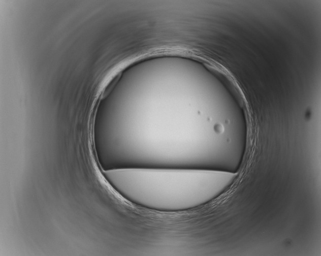 X0000115661389200911120933