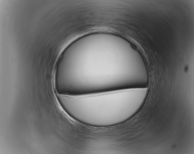X0000115661391200911120933