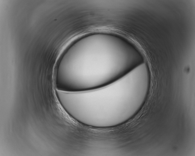 X0000115661392200911120933