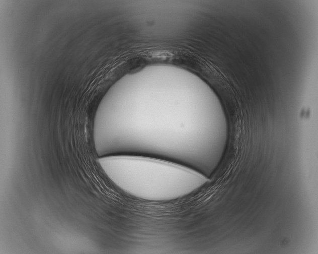 X0000115661394200911120932