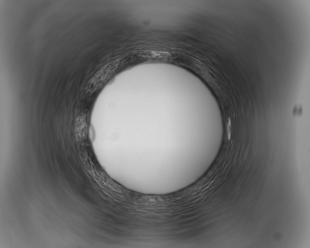 X0000115661395200911120932