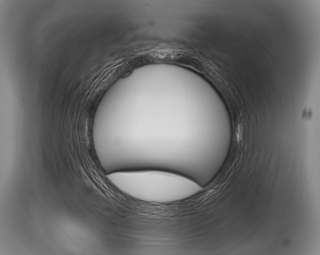 X0000115661396200911120932