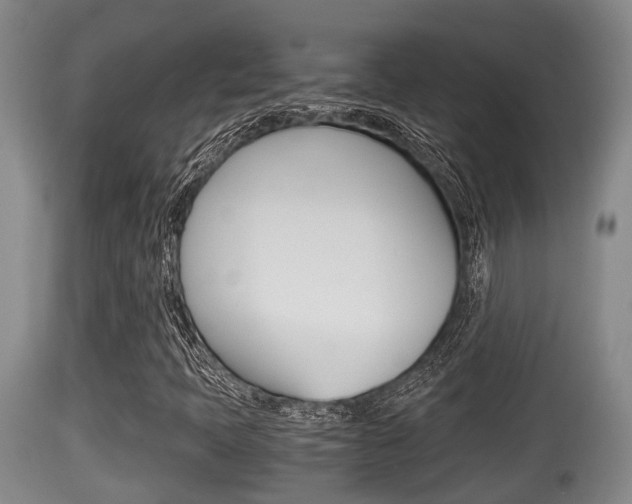 X0000115661397200911120932