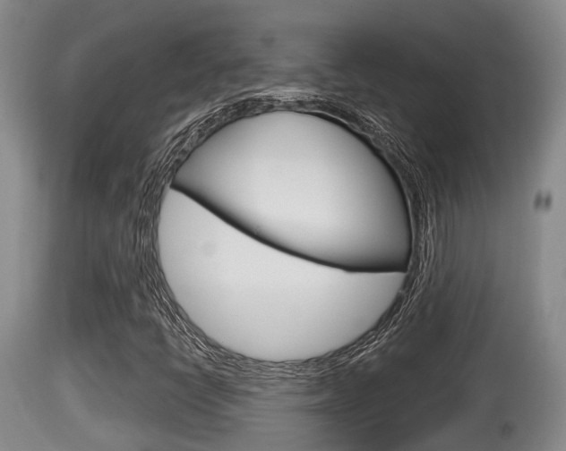 X0000115661398200911120932