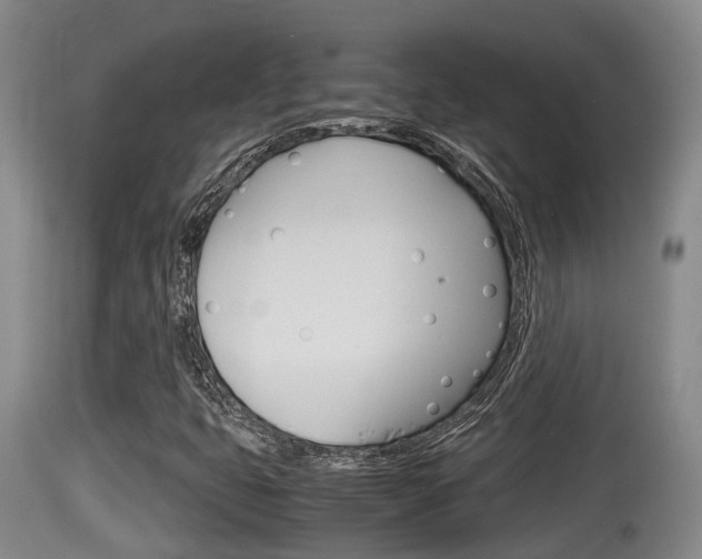 X0000115661399200911120932
