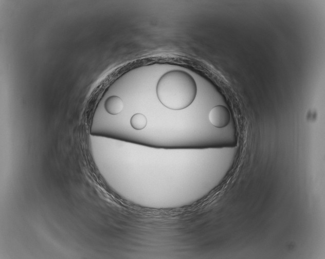 X0000115661400200911120932
