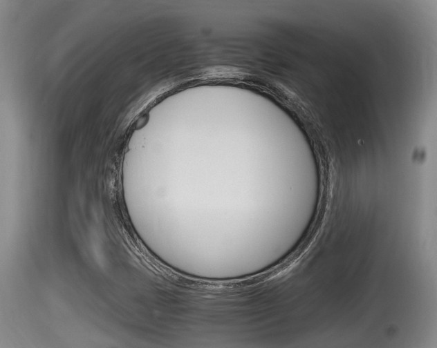 X0000115661401200911120932