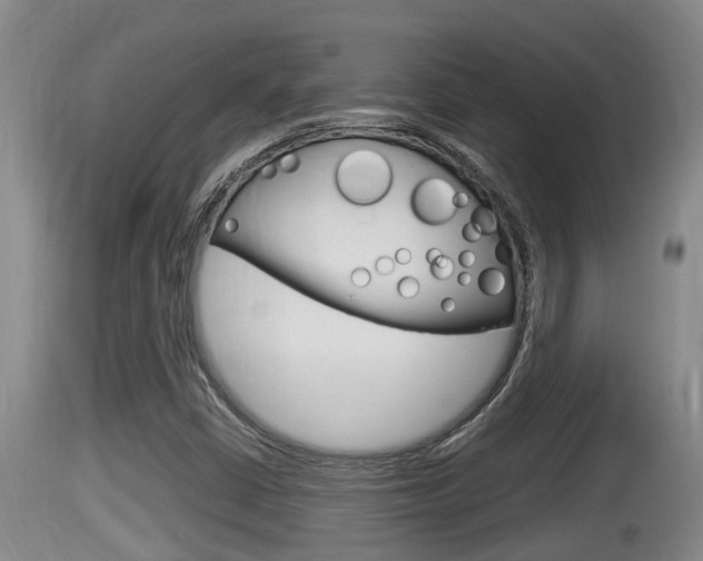 X0000115661402200911120932