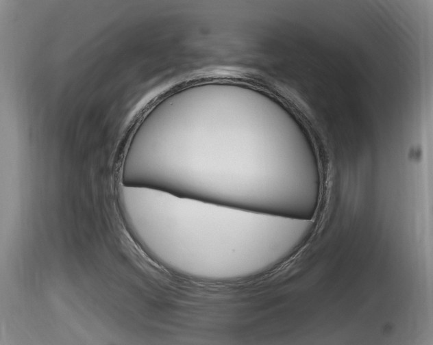 X0000115661404200911120932