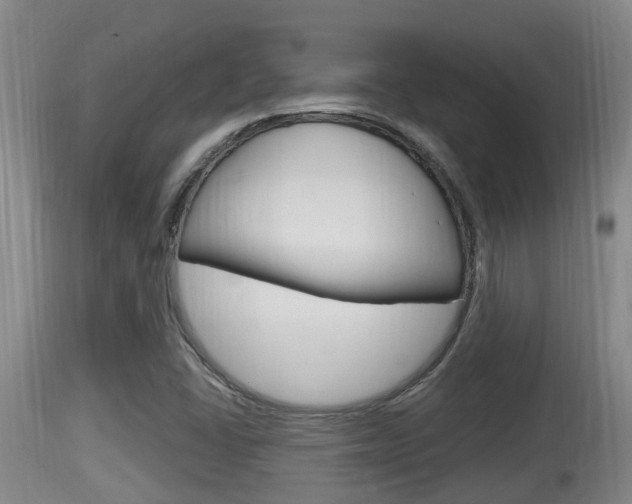 X0000115661406200911120932