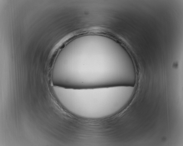 X0000115661410200911120932