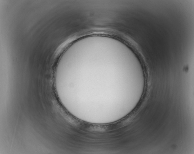X0000115661411200911120933