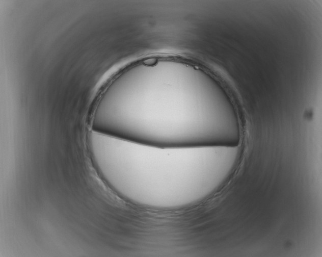 X0000115661412200911120933