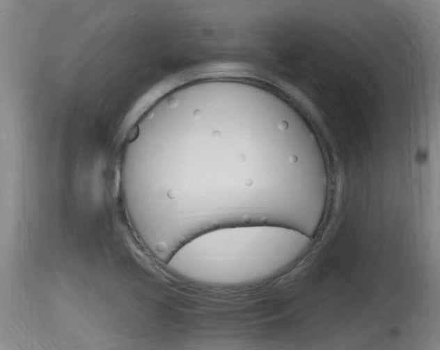 X0000115661413200911120933
