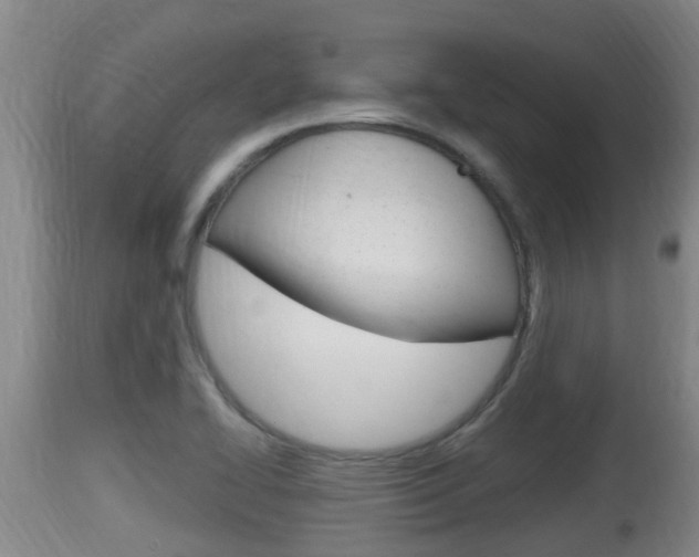 X0000115661414200911120933