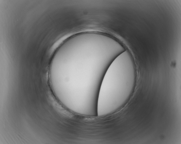 X0000115661415200911120933