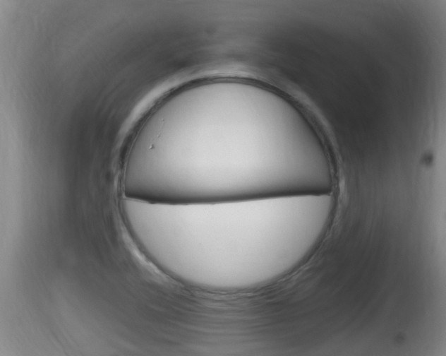 X0000115661416200911120933
