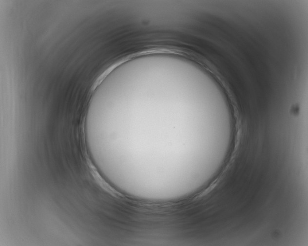 X0000115661417200911120933