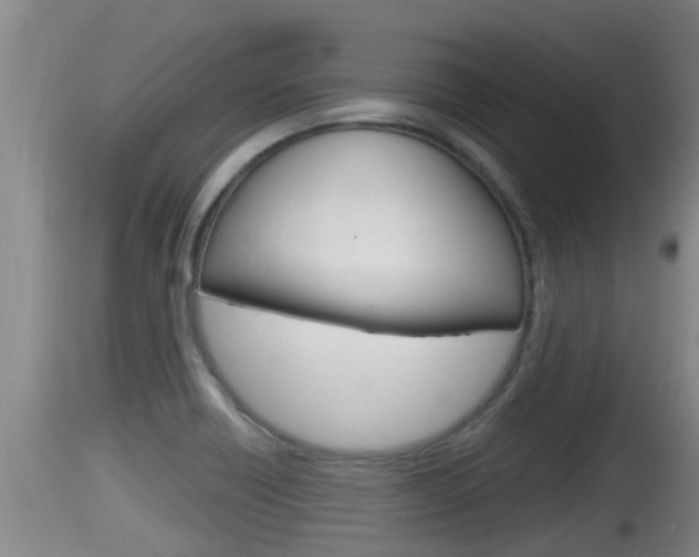 X0000115661418200911120933
