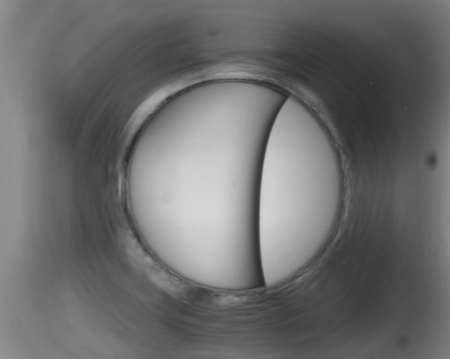 X0000115661419200911120933