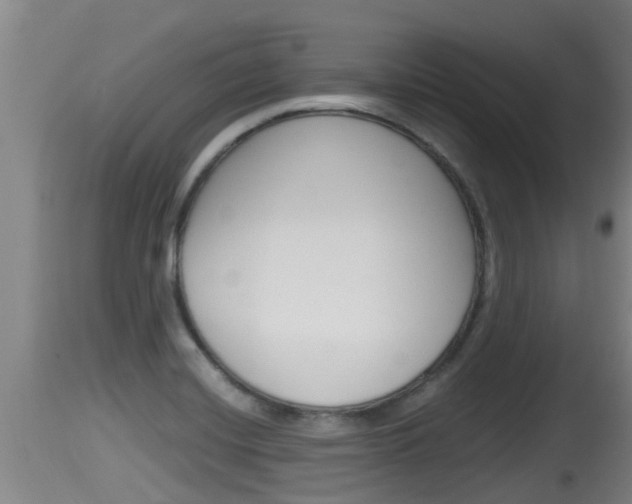 X0000115661420200911120933