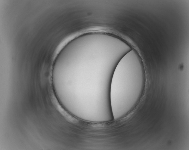 X0000115661421200911120933