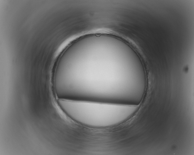 X0000115661422200911120933