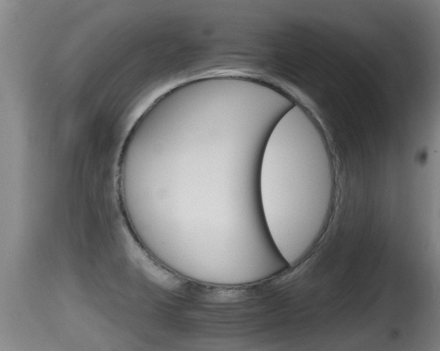 X0000115661423200911120933