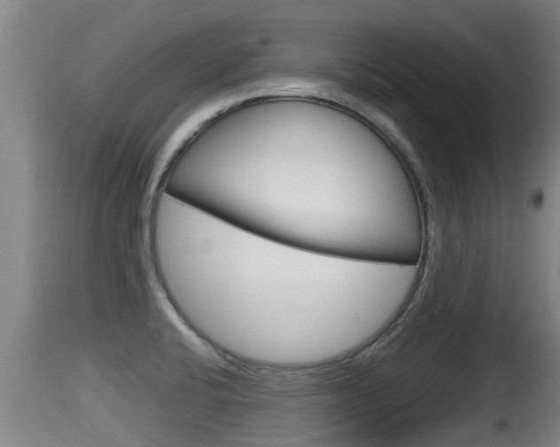 X0000115661424200911120933