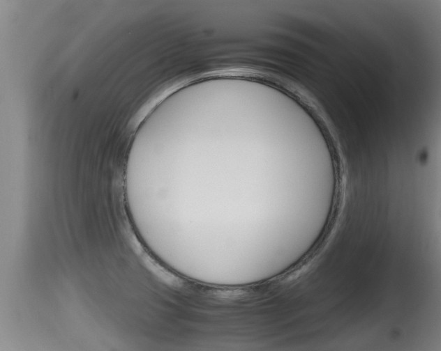 X0000115661425200911120933