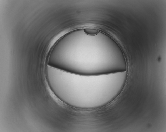 X0000115661426200911120933