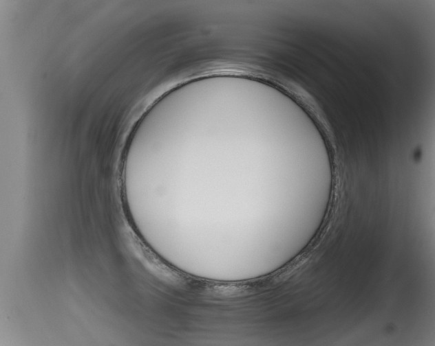 X0000115661427200911120933