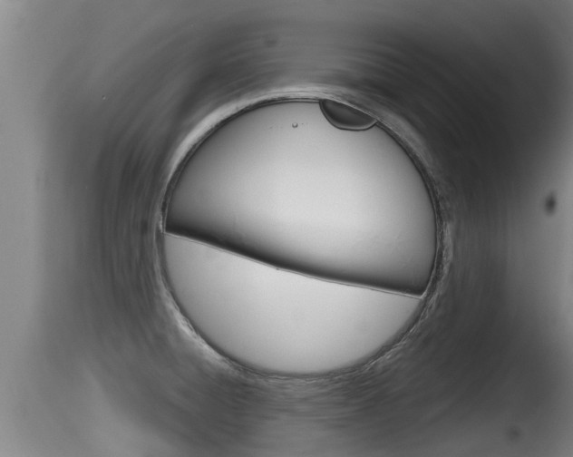 X0000115661428200911120933