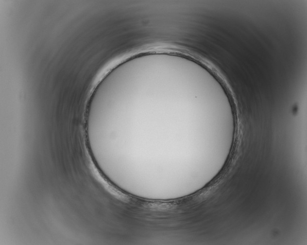 X0000115661429200911120933