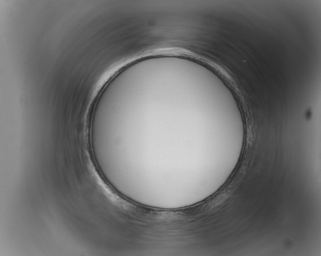 X0000115661430200911120933